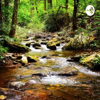 Mountain Light Sanctuary cover
