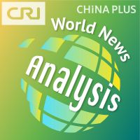 World News Analysis cover