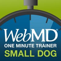 WebMD Healthy Pets: 1-Minute Dog Trainer for Little Dogs cover