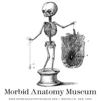 The Morbid Anatomy Transmission cover