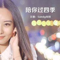 陪你过四季 cover