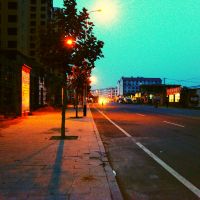 奇酥酥 cover
