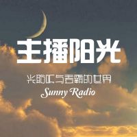 我叫阳小光 cover