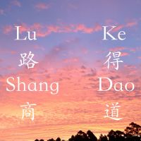 陆辉 cover