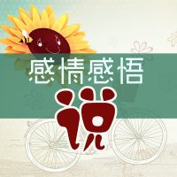 感情感悟说 cover