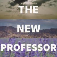 The New Professor cover