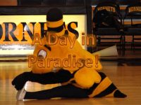 A day in Paradise at Henderson cover