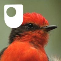 The Galapagos - for iPod/iPhone cover