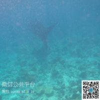【博物】阅读天下 cover