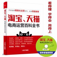 电商淘宝运营新手快速入门课程 cover