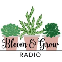 Bloom and Grow Radio cover