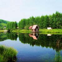 掌上根河电台 cover