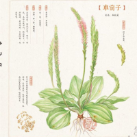 听故事，懂中药 cover