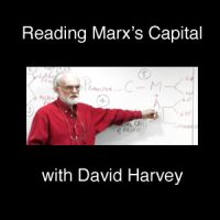 Reading Marx's Capital cover