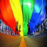 gay基因 cover