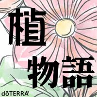 植物语 cover