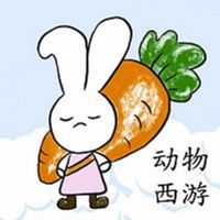 动物西游-罐子姐姐 cover
