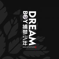捕梦少年 cover