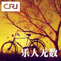 乐人无数 cover