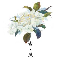 古风歌 | 我有酒，你有故事吗？ cover
