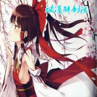 一首歌读一部动漫 cover