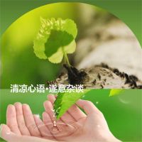 清凉心语·遂意杂谈 cover