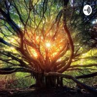 Wicca Wisdom cover