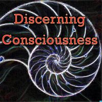 Discerning Consciousness' Podcast cover