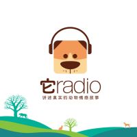 它基金 cover