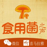 人体五行与产品搭配-中医食疗养生之道-食用菌之声 cover