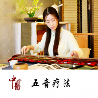 中医五音疗法 cover