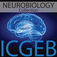 Neurobiology cover