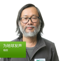 为地球发声：杨欣 cover