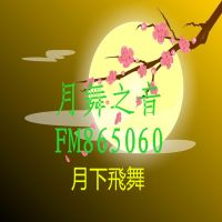 月舞之音 cover