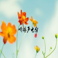 听鸽声-【♩情感•励志♩专栏】 cover