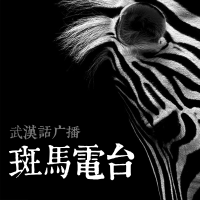 斑马电台 cover