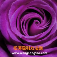 松涛吸引力法则 cover