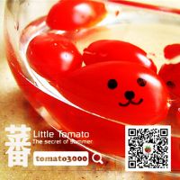 齐飞. cover