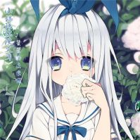 菜猫【旧】 cover