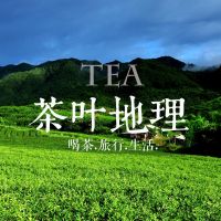茶叶地理 cover