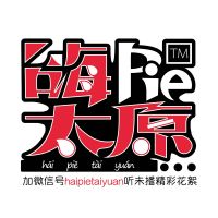 嗨PIE太原 cover