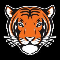 Princeton Tigers cover