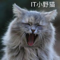 喵的科技圈儿 cover
