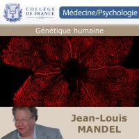Génétique humaine cover