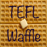 TEFL Waffle cover