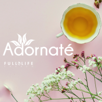 Adornaté - Iglesia Full Life cover