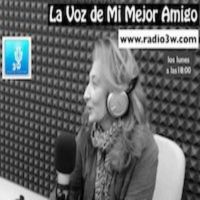 La Voz de Mi Mejor Amigo cover
