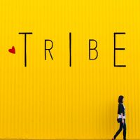 TRIBE cover