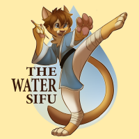 The Water Sifu cover