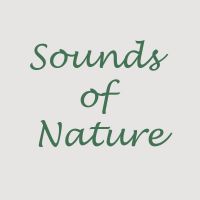 Environmental Sounds cover